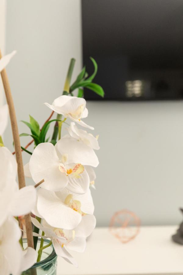 Apartament Charme Cosy Confort - Thermes Vichy Zewnętrze zdjęcie